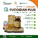 FUCOIDAN PLUS 2.webp