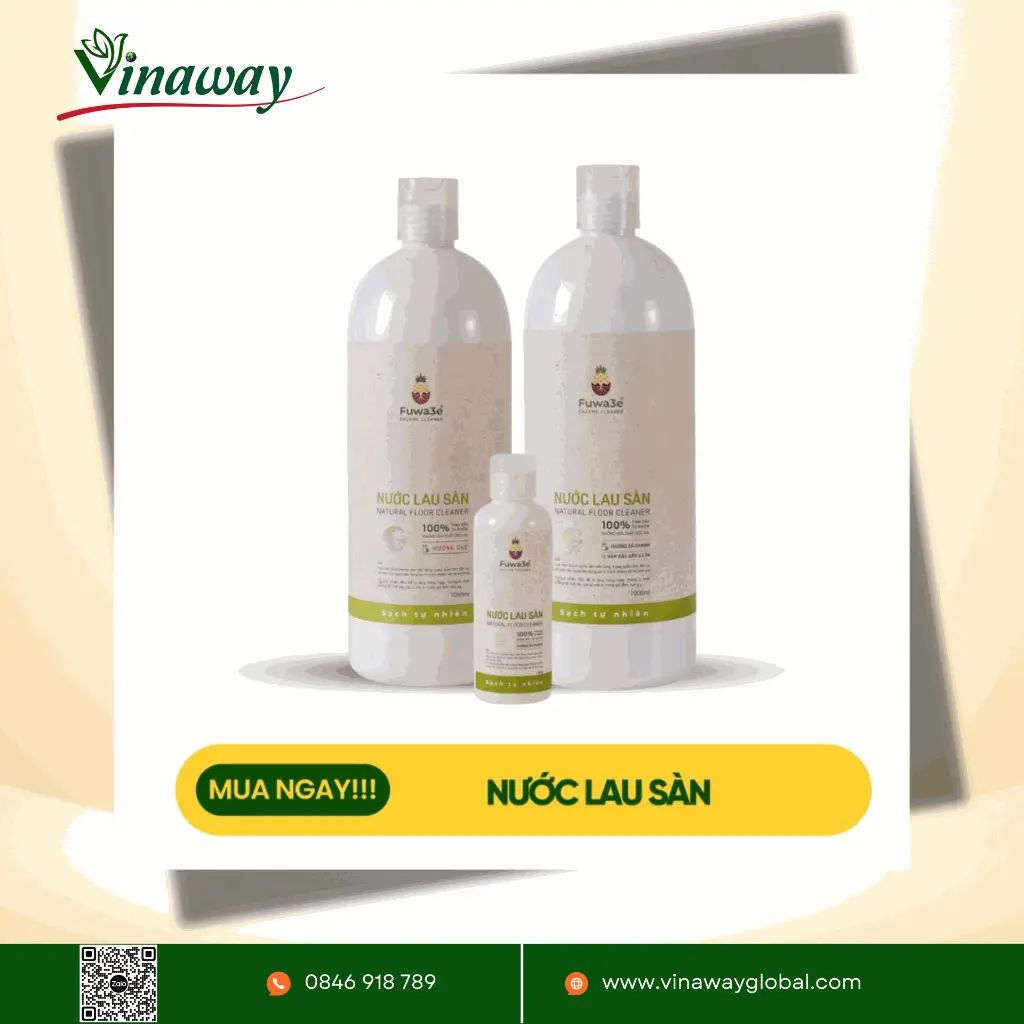 LAU SÀN 2. QUẾ.webp