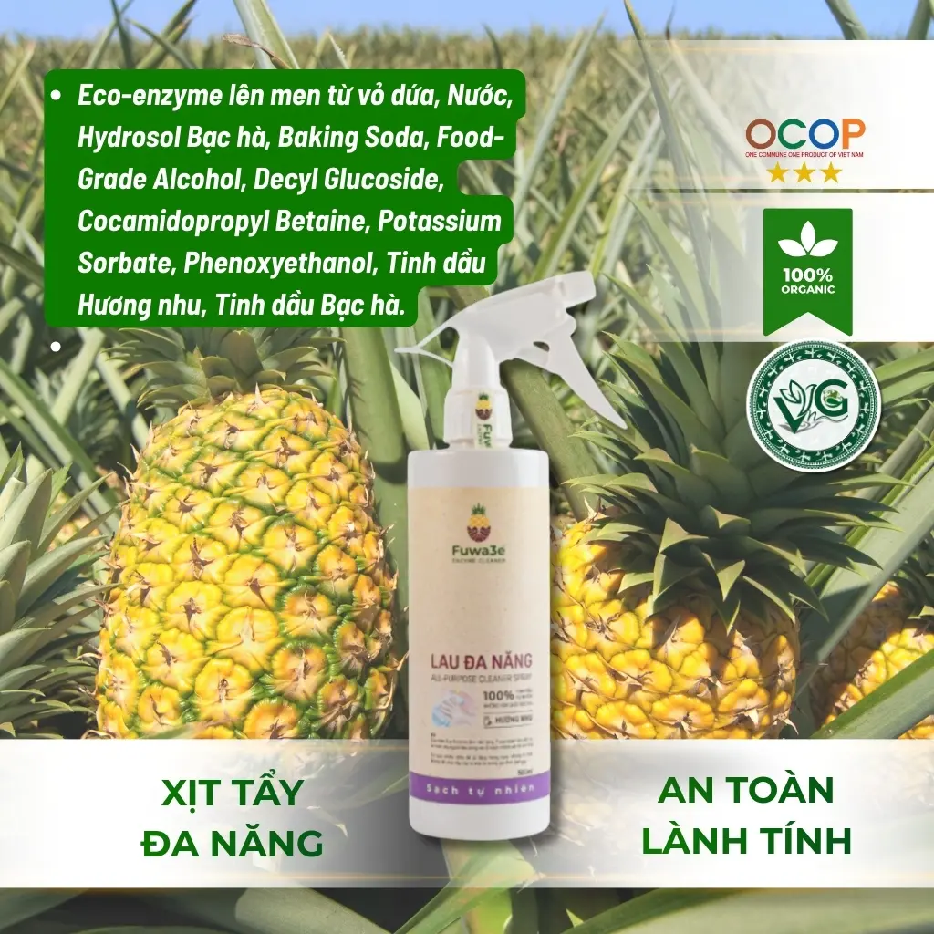 LAU ĐA NĂNG 2.webp