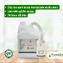 RỬA TAY FUWA3E (1).webp