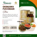 Okinawa Fucoidan Plus